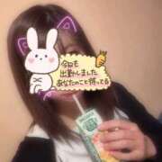 ヒメ日記 2026/05/24 19:27 投稿 くれは マツタケヒロシ