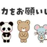 ヒメ日記 2026/06/05 13:05 投稿 せな♡極上SPコース♡ PANTHER（パンサー）