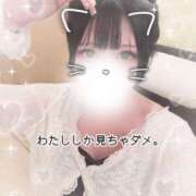 ヒメ日記 2026/08/31 11:08 投稿 りんご めっちゃスイスク京都店