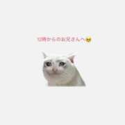 ヒメ日記 2026/05/19 12:33 投稿 ひざし ルーフ福井