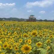 ヒメ日記 2026/07/07 16:59 投稿 ひかる Excellent Royal