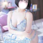 ヒメ日記 2026/10/09 07:19 投稿 ましろ Excellent Royal