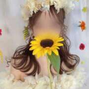 ヒメ日記 2026/07/20 08:49 投稿 あすか Excellent Royal
