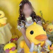 ヒメ日記 2026/07/24 07:19 投稿 あすか Excellent Royal