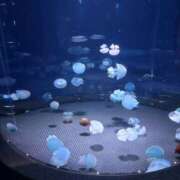 ヒメ日記 2026/08/23 16:33 投稿 まな 新横浜ちゃんこ