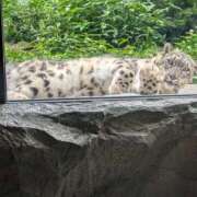ヒメ日記 2026/08/23 18:53 投稿 まな 新横浜ちゃんこ