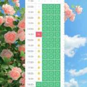 ヒメ日記 2026/05/24 14:55 投稿 あおい☆オーラ漂う美女☆☆ 辻Opera～オペラ～