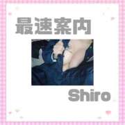 ヒメ日記 2026/05/19 15:38 投稿 しろ 大高・大府市・東海市ちゃんこ