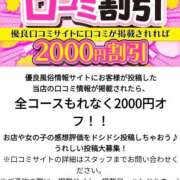 ヒメ日記 2026/06/02 18:13 投稿 しろ 大高・大府市・東海市ちゃんこ