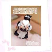 ヒメ日記 2026/07/14 18:53 投稿 しろ 大高・大府市・東海市ちゃんこ