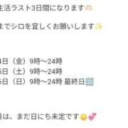ヒメ日記 2026/07/23 14:13 投稿 しろ 大高・大府市・東海市ちゃんこ