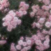 ヒメ日記 2026/05/15 18:21 投稿 新人・杏樹(あんじゅ) グランドオペラ福岡