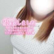 すみれ 19時〜居ます✨️ ぽちゃカワ女子専門店　藤沢湘南店