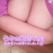 ヒメ日記 2026/06/12 19:02 投稿 すみれ ぽちゃカワ女子専門店　藤沢湘南店