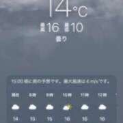 ヒメ日記 2026/05/14 10:06 投稿 あず 奥様メモリアル