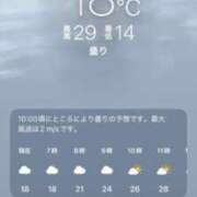ヒメ日記 2026/05/19 07:06 投稿 あず 奥様メモリアル