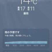 ヒメ日記 2026/05/21 07:06 投稿 あず 奥様メモリアル