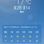 ヒメ日記 2026/05/30 08:06 投稿 あず 奥様メモリアル