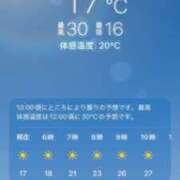 ヒメ日記 2026/06/01 10:06 投稿 あず 奥様メモリアル