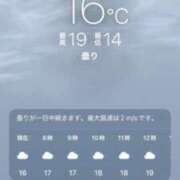 ヒメ日記 2026/06/07 08:06 投稿 あず 奥様メモリアル