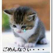 ヒメ日記 2026/06/12 06:18 投稿 あず 奥様メモリアル