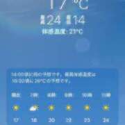 ヒメ日記 2026/06/13 15:06 投稿 あず 奥様メモリアル