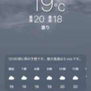 ヒメ日記 2026/06/20 07:06 投稿 あず 奥様メモリアル