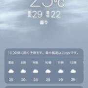 ヒメ日記 2026/07/11 11:06 投稿 あず 奥様メモリアル