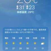 ヒメ日記 2026/07/23 07:06 投稿 あず 奥様メモリアル