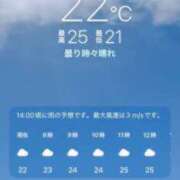 ヒメ日記 2026/07/28 09:06 投稿 あず 奥様メモリアル