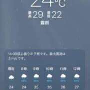 ヒメ日記 2026/07/29 08:06 投稿 あず 奥様メモリアル