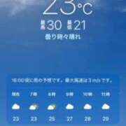 ヒメ日記 2026/07/30 08:06 投稿 あず 奥様メモリアル