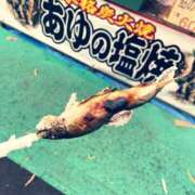 ヒメ日記 2026/08/06 07:06 投稿 あず 奥様メモリアル