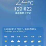 ヒメ日記 2026/08/06 08:06 投稿 あず 奥様メモリアル