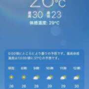 ヒメ日記 2026/08/19 20:06 投稿 あず 奥様メモリアル