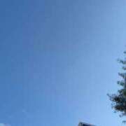 ヒメ日記 2026/10/08 06:06 投稿 あず 奥様メモリアル