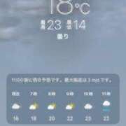 ヒメ日記 2026/10/15 07:06 投稿 あず 奥様メモリアル