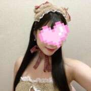 華原 せりな 今日もよろしくね♡ Canx2京都店
