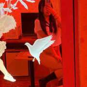 ヒメ日記 2026/07/20 11:33 投稿 るう 全裸SUPERプレミアム