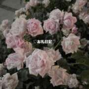 ヒメ日記 2026/05/21 18:56 投稿 純夏えみり-EMIRI- Casual Rich 5（カジュアルリッチファイブ）