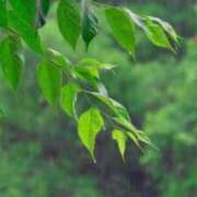 ヒメ日記 2026/08/12 10:28 投稿 えりか 梅田アバンチュール