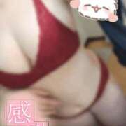 ヒメ日記 2026/06/10 15:04 投稿 しゅうか 京都祇園・南インターちゃんこ