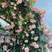 ヒメ日記 2026/05/19 17:55 投稿 あまみ ちゃんこ大阪十三