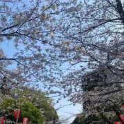 ヒメ日記 2026/05/20 18:47 投稿 志穂 昼顔妻 五反田店