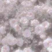 ヒメ日記 2026/07/13 00:26 投稿 如月つき【CUTE】 とびきりかわいい専門～You:More～