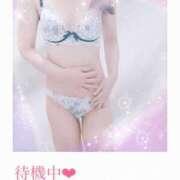 ヒメ日記 2026/06/11 16:55 投稿 聖夜（せいや） 愛人コレクション