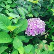 ヒメ日記 2026/05/28 18:39 投稿 和花(わか) 川崎三浦屋