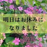 ヒメ日記 2026/06/02 18:21 投稿 和花(わか) 川崎三浦屋