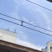 ヒメ日記 2026/07/14 14:22 投稿 和花(わか) 川崎三浦屋