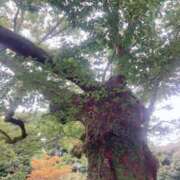 ヒメ日記 2026/08/23 13:35 投稿 和花(わか) 川崎三浦屋